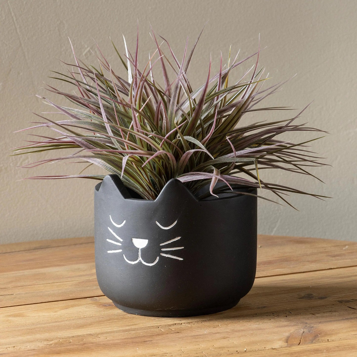 VivaTerra Black Cat Cement Planter