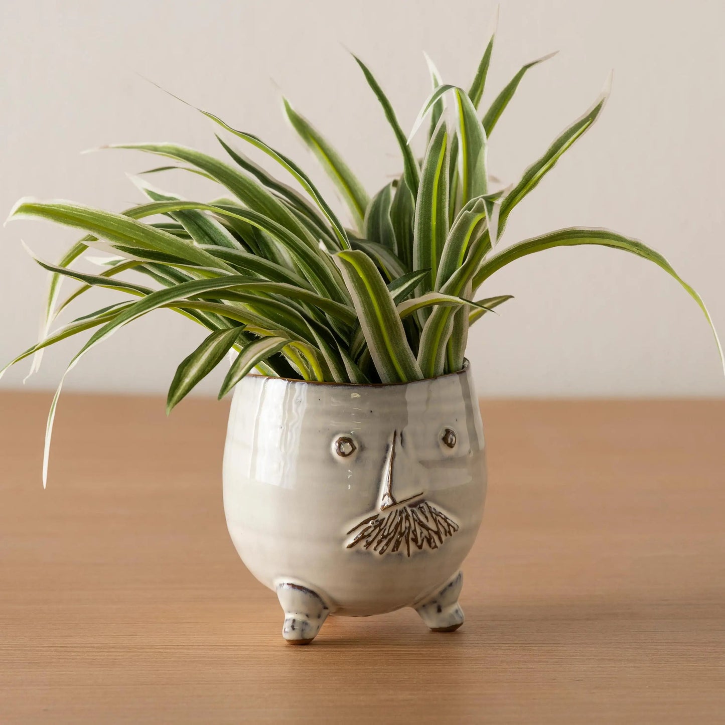 VivaTerra Mr. Pot with Spider Plant