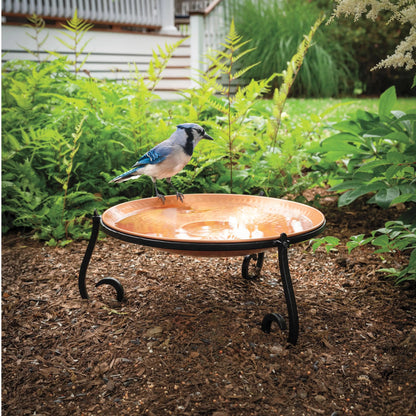 VivaTerra Freestanding Hammered Copper Birdbath