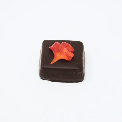 Mendocino Chocolate Company Holiday Originals Collection