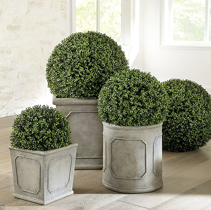 Ballard Designs Faux Boxwood Planter Filler