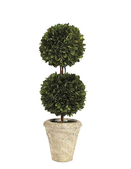 Ballard Designs Preserved Boxwood Topiary