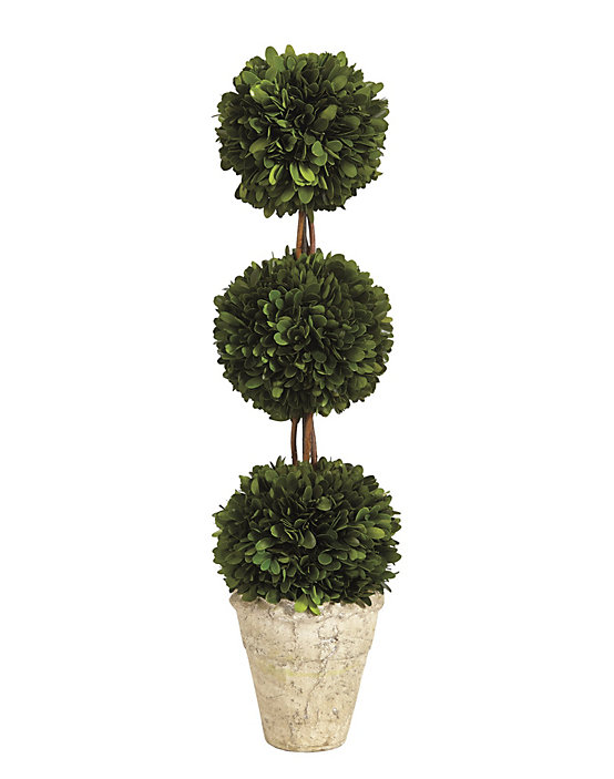 Ballard Designs Preserved Boxwood Topiary