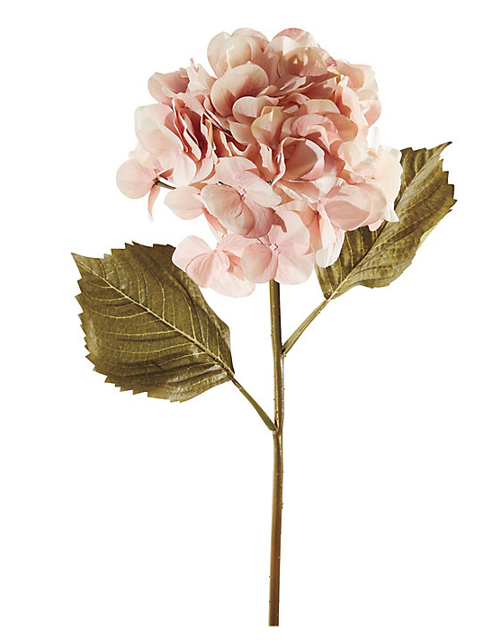 Ballard Designs Hydrangea Stem