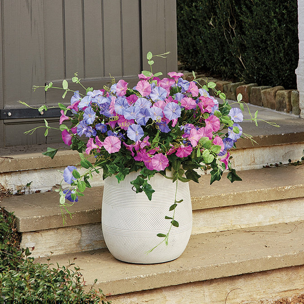 Ballard Designs Morning Glory Planter Filler