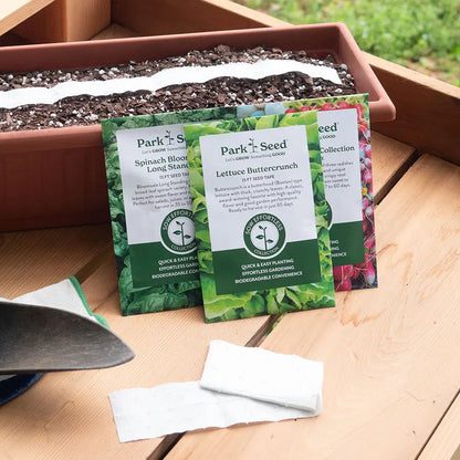 Park Seed Sow Effortless Collection Black Magic Kale Seed Tape